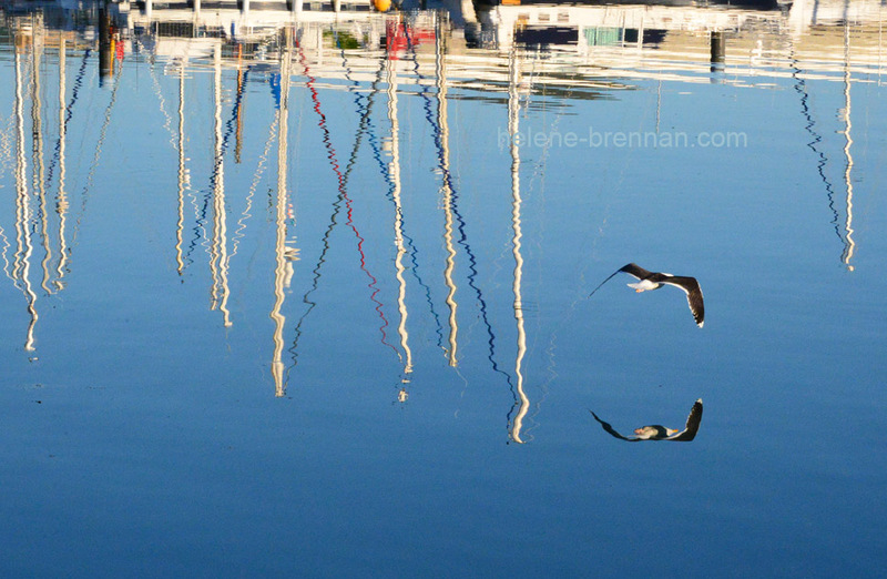 Reflections at Dingle Marina 2848 Photo