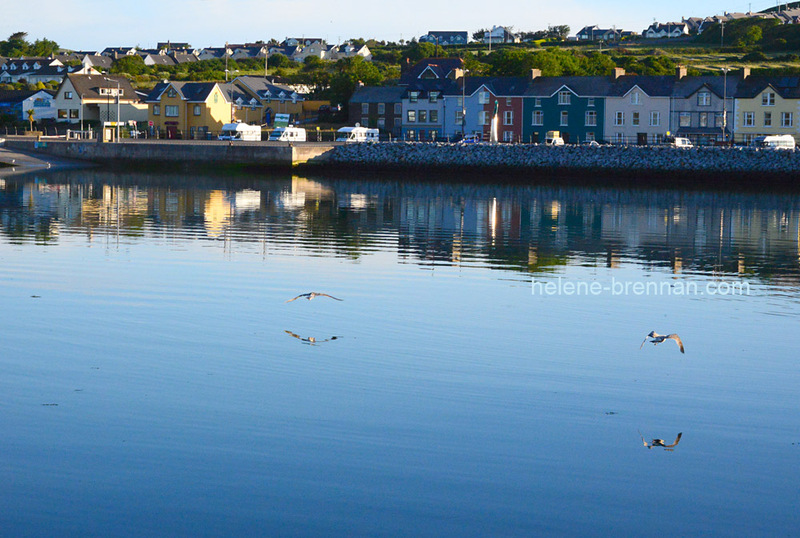 Early Morning at Dingle Marina 2850 Photo