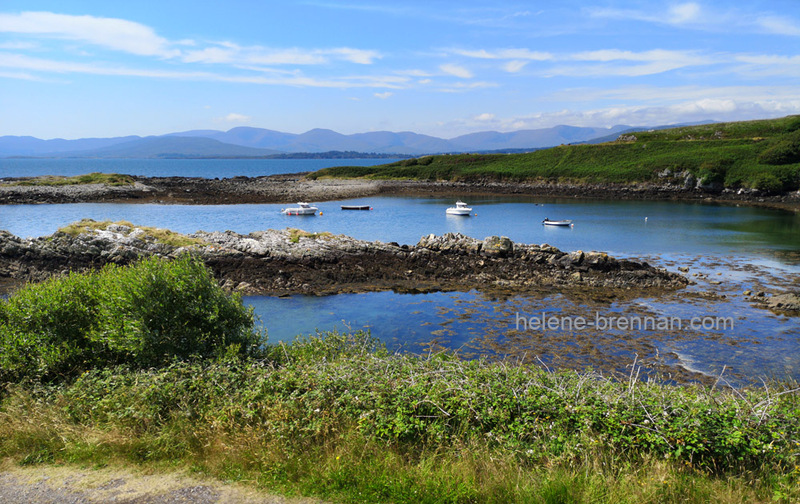 Beara 311 Photo