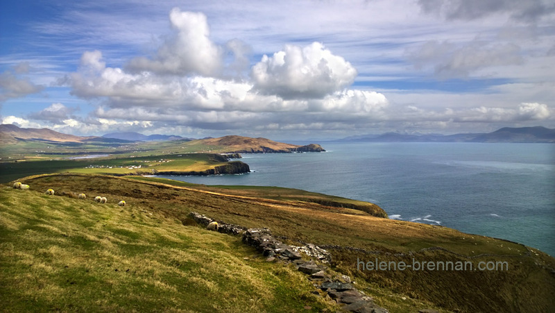 Dingle Bay from Carhoo Hill Photo