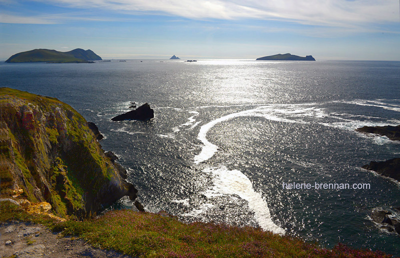 Blasket Islands 3488 Photo