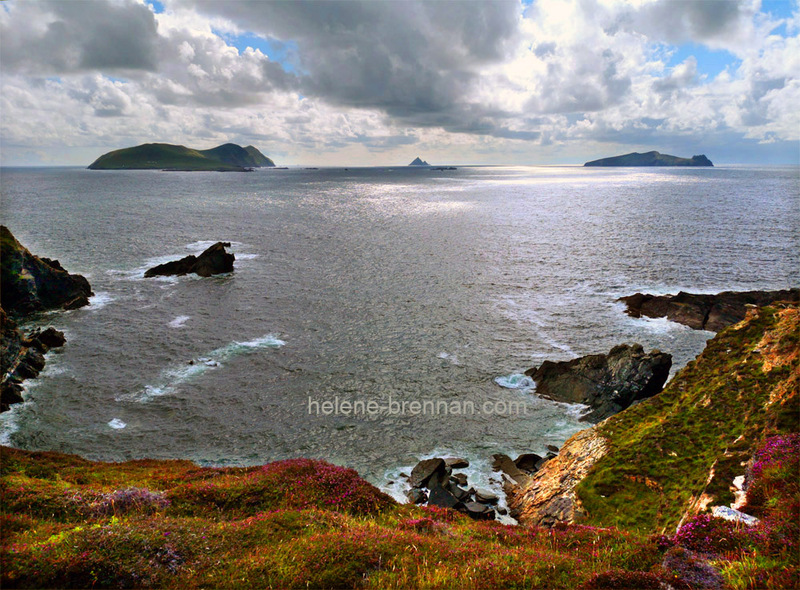 Blasket Islands from Dunquin Coast 189 Photo