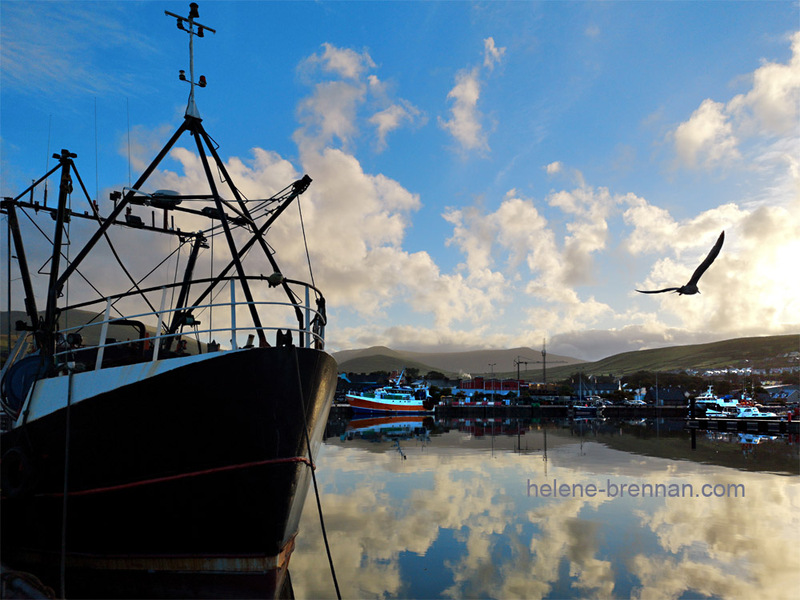 Dingle Harbour 75557 Photo