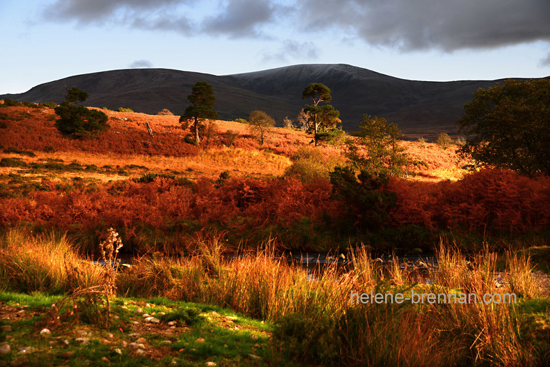 Autumn Light, Glen of Imaal, 5353 Photo