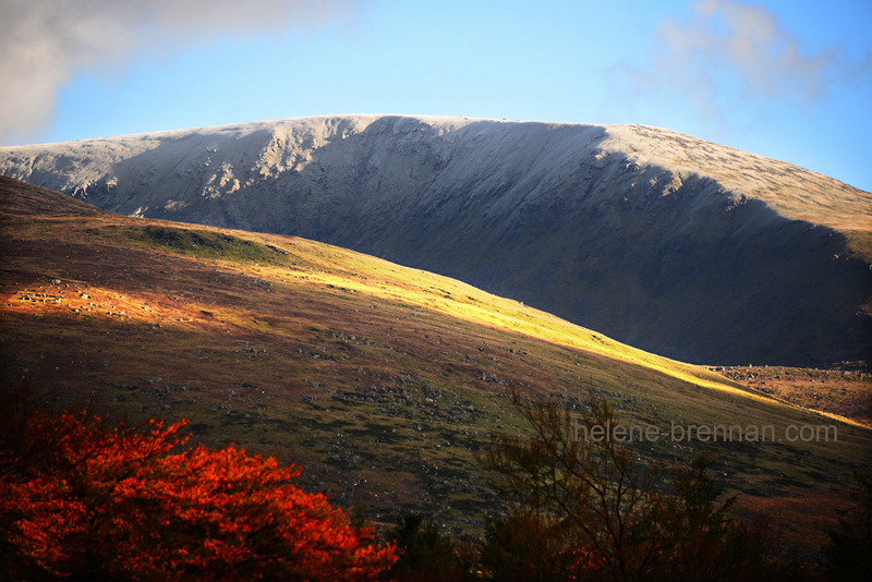 Autumn Light on Lugnaquilla 5332 Photo