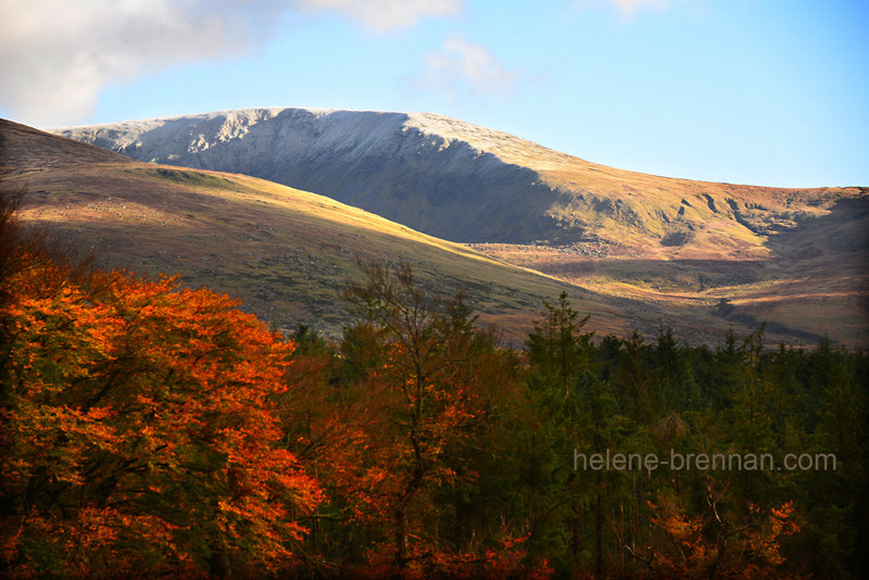 Autumn Light on Lugnaquilla 5331 Photo