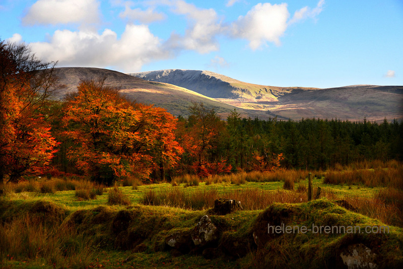 Autumn Light on Lugnaquilla 5333 Photo