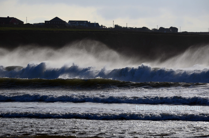 Sea Spray 6268 Photo