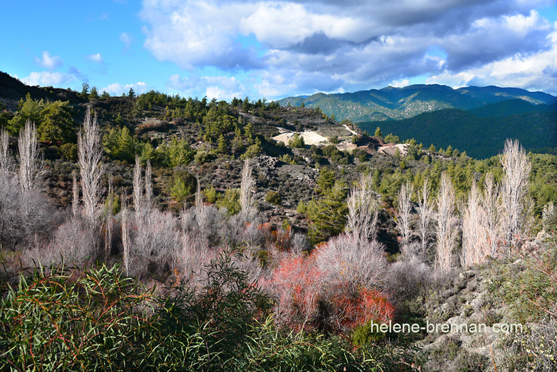 Troodos Mountains 6793 Photo