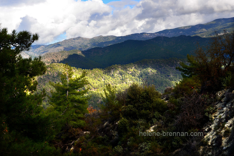 Troodos Mountains 6767 Photo