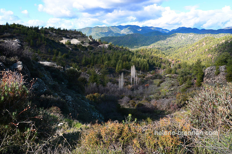 Troodos Mountains 6786 Photo