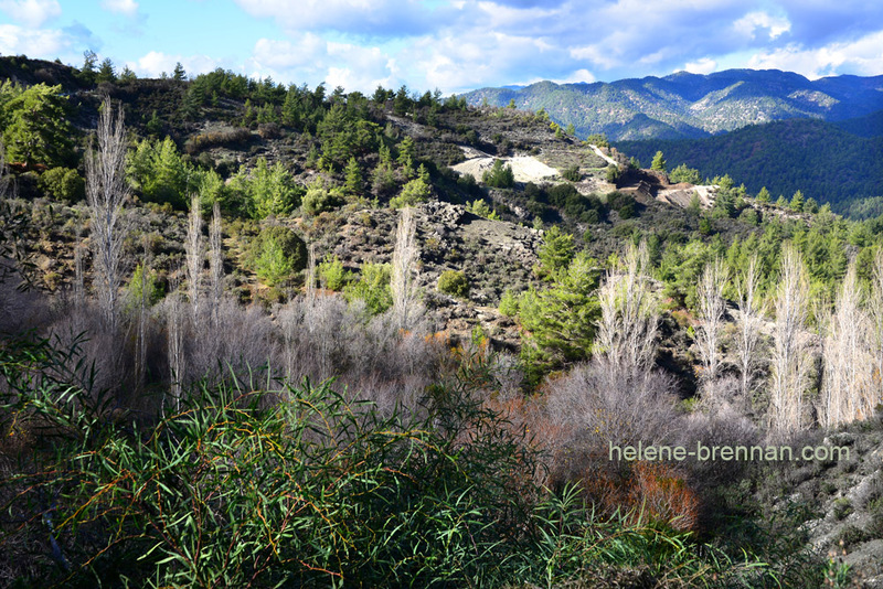 Troodos Mountains 6788 Photo