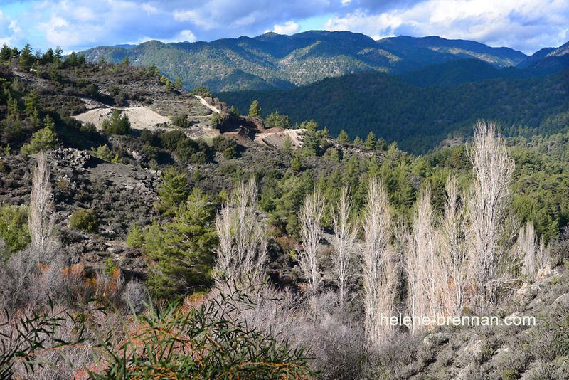 Troodos Mountains 6790 Photo