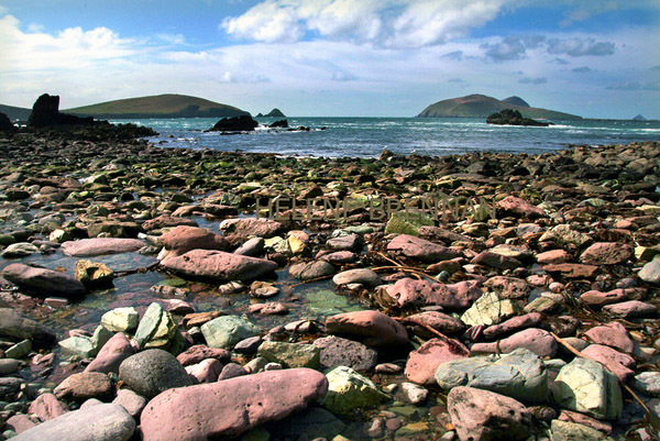 Dunmore Head and Great Blasket Island 28 Photo