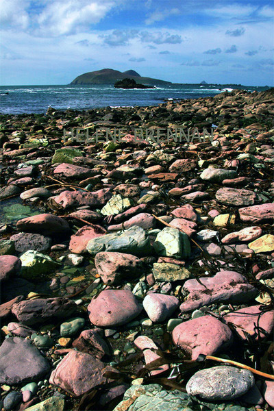 Great Blasket Island 29 Photo