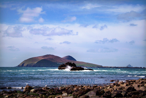 Great Blasket Island 34 Photo