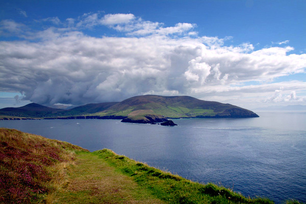 On Blasket Island 005.jpg Photo