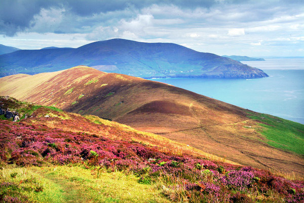 On Great Blasket 053 Photo