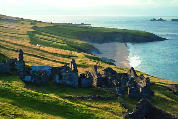 Evening on Gt Blasket 17 Photo