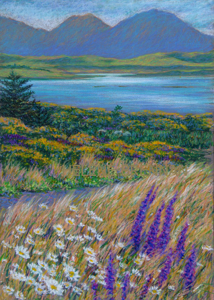 Wildflowers of Connemara Oil pastel