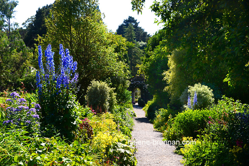 Gardens on Garnish Island 2991 Photo