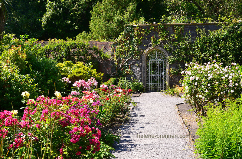 Gardens on Garnish Island 2990 Photo