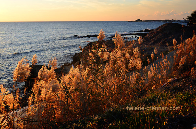 Evening Light Paphos 6681 Photo