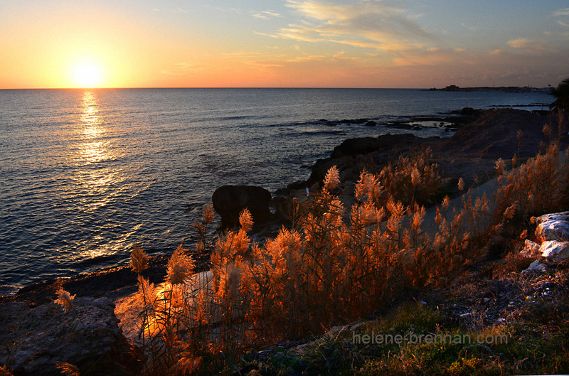 Paphos Sunset 6695 Photo