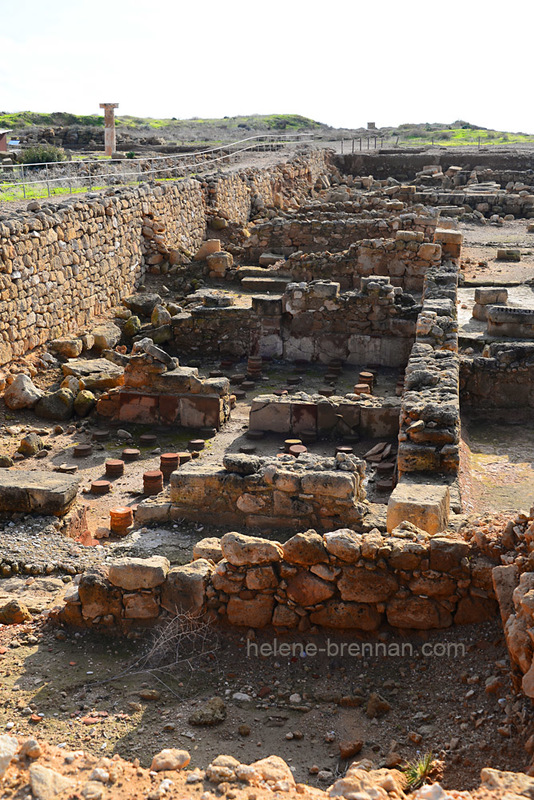 Paphos Archaeological Park 6727 Photo