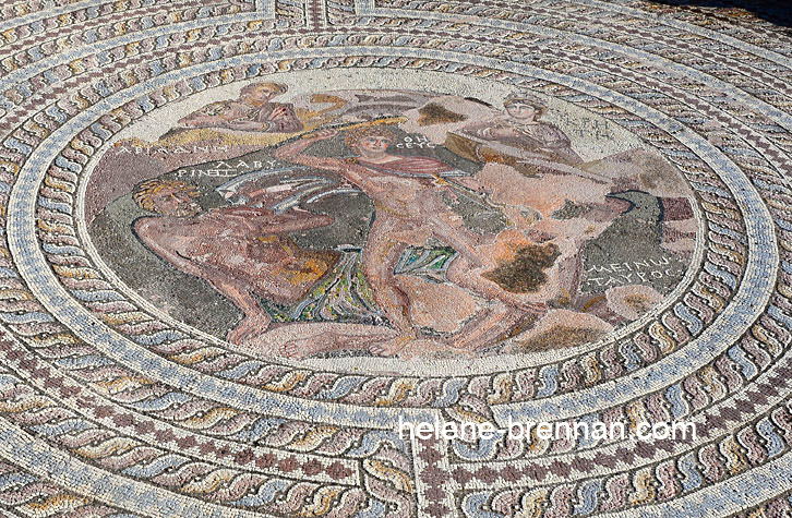 Mosaic Floor, Archaeological Park 6700 Photo