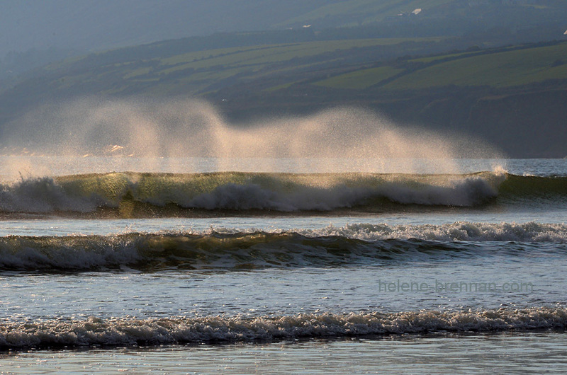 Blowing in the Wind at Inch Beach 8112 Photo