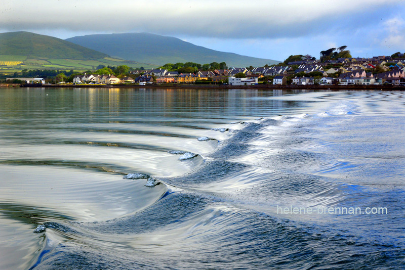 Dingle Morning Wash 8379 Photo