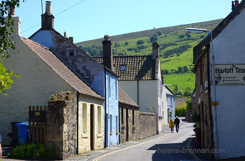 Falkland Village 8748 Photo