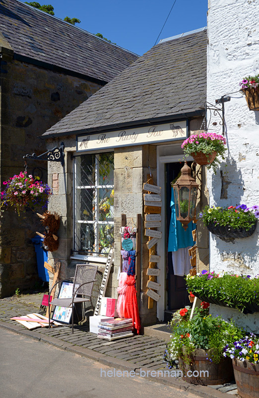 Village Shop Falkland 8754 Photo