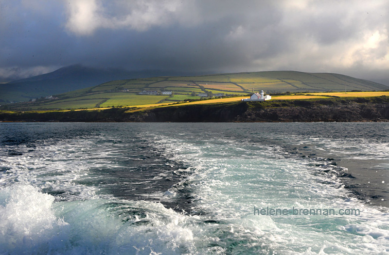 Dingle Coast 8395 Photo