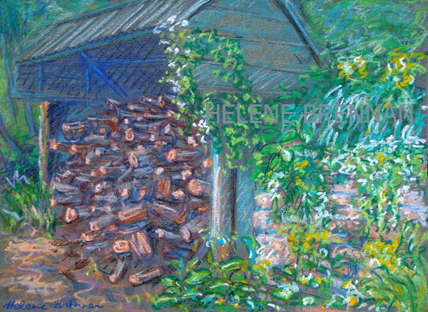 Wood Shed in the Forest Oil pastel