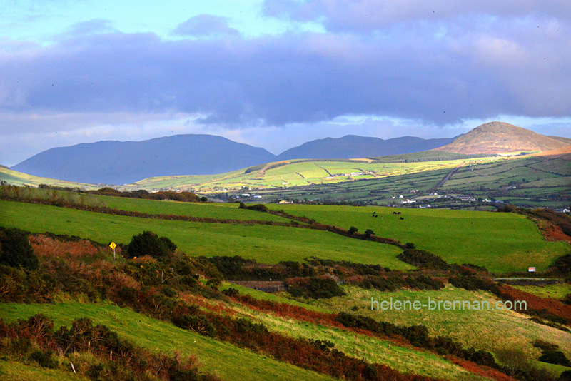 Dingle Road View 0204 Photo