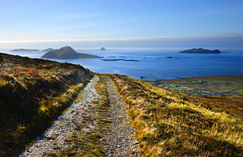 Blasket Islands 0149 Photo