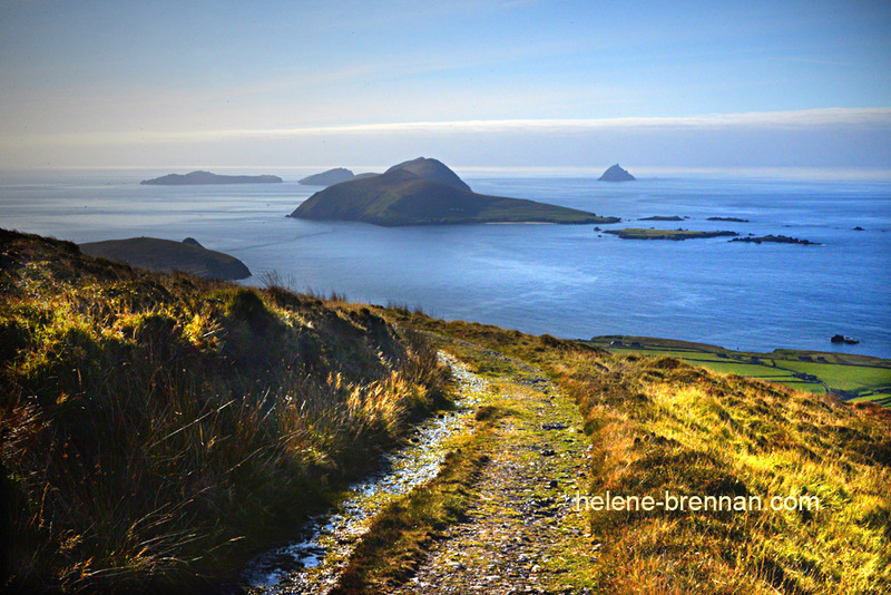 Blasket Islands 0150 Photo