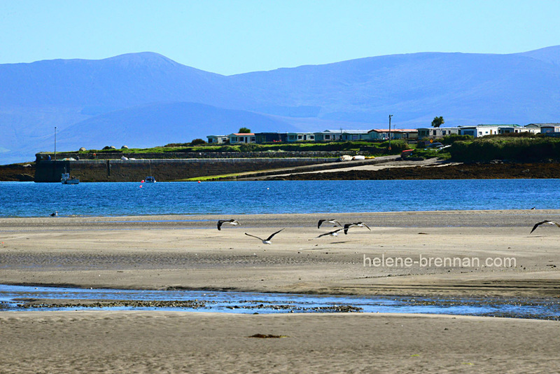 Ventry Beach 9548 Photo