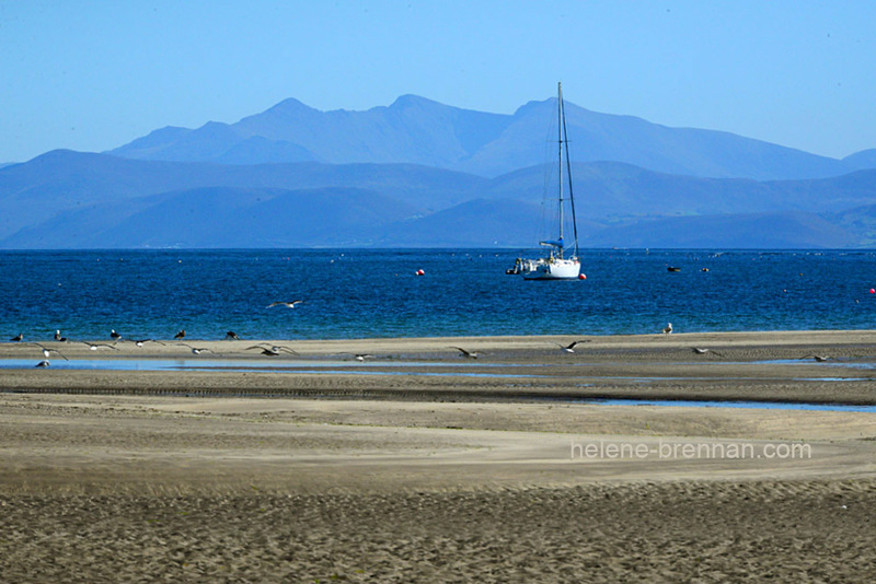 Ventry Beach 9551 Photo