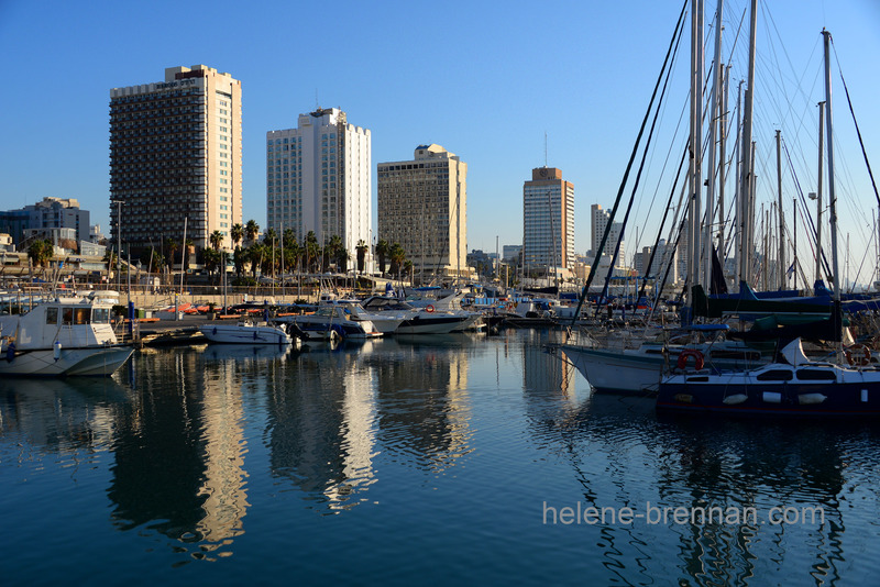 Tel Aviv Marina 0771 Photo