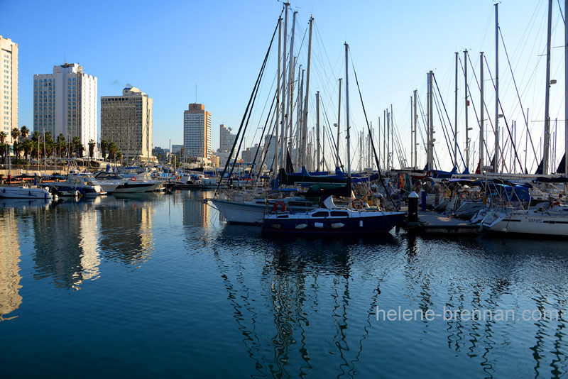 Tel Aviv Marina 0774 Photo