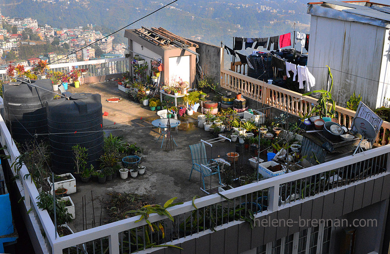 Aizawl Rooftop 1167 Photo