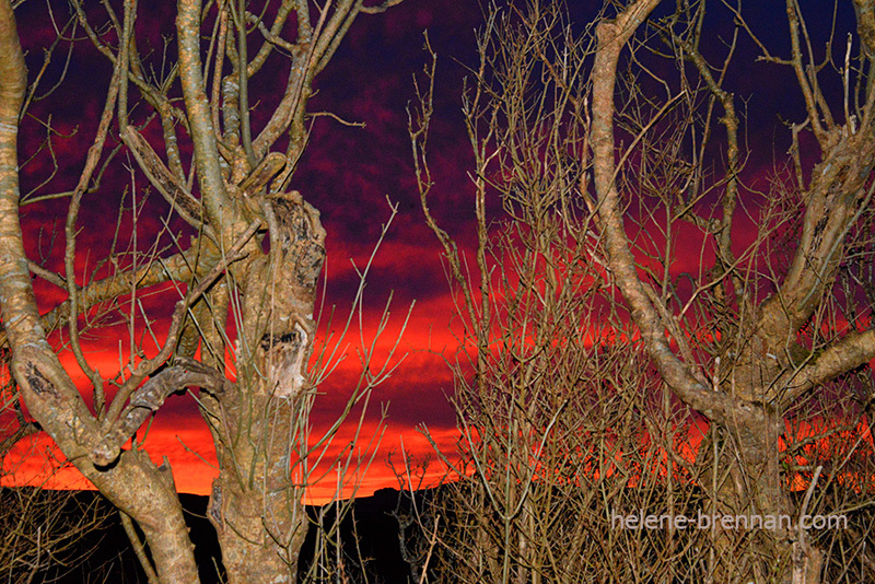 Ballyferriter Sunset Photo