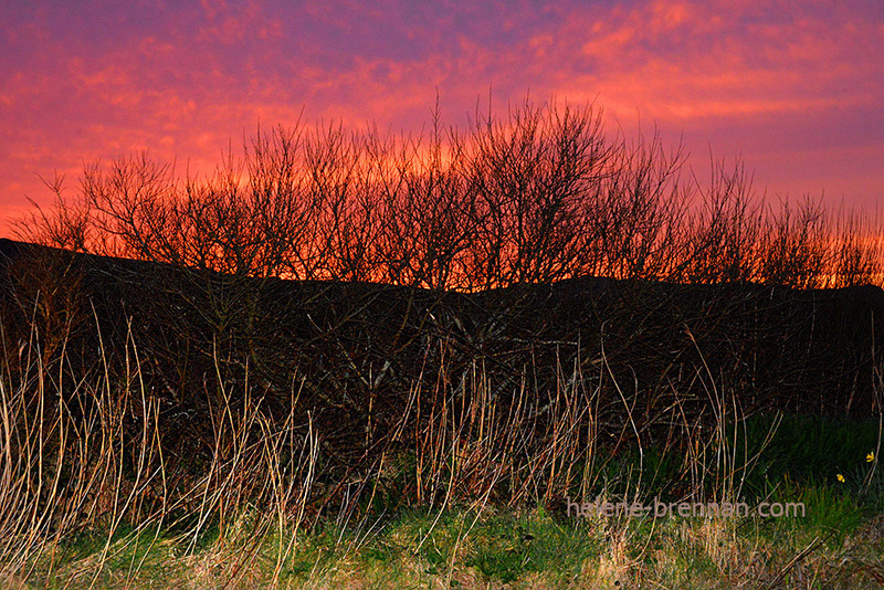 Ballyferriter Sunset 2318 Photo