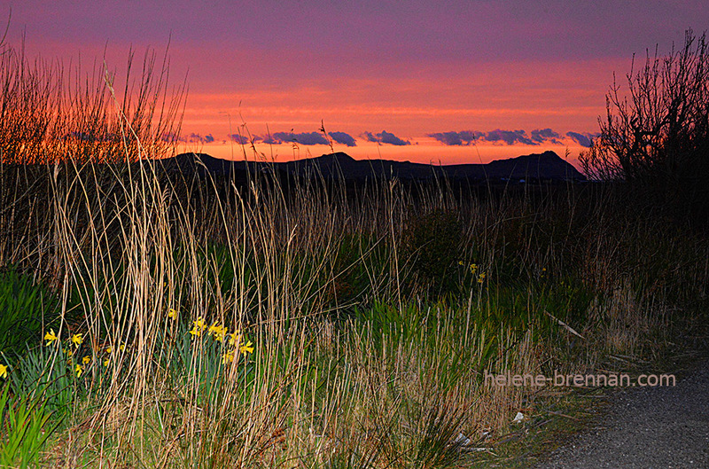 Ballyferriter Sunset 2313 Photo