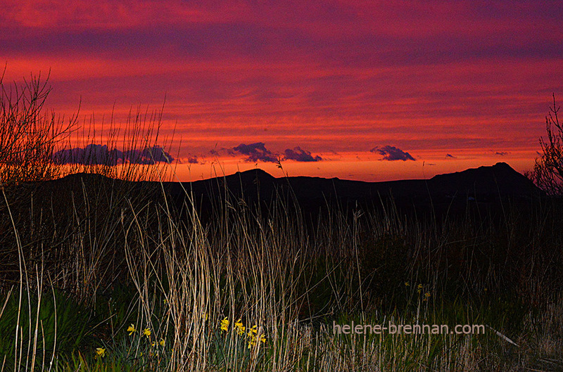 Ballyferriter Sunset 2337 Photo