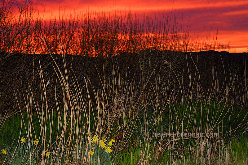 Ballyferriter Sunset 2338 Photo