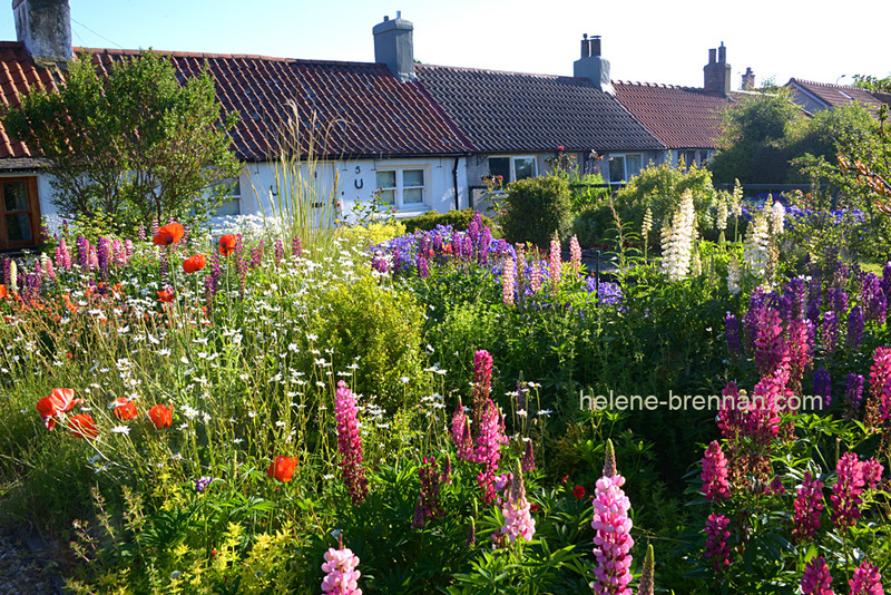 Charlestown cottages 8787 Photo